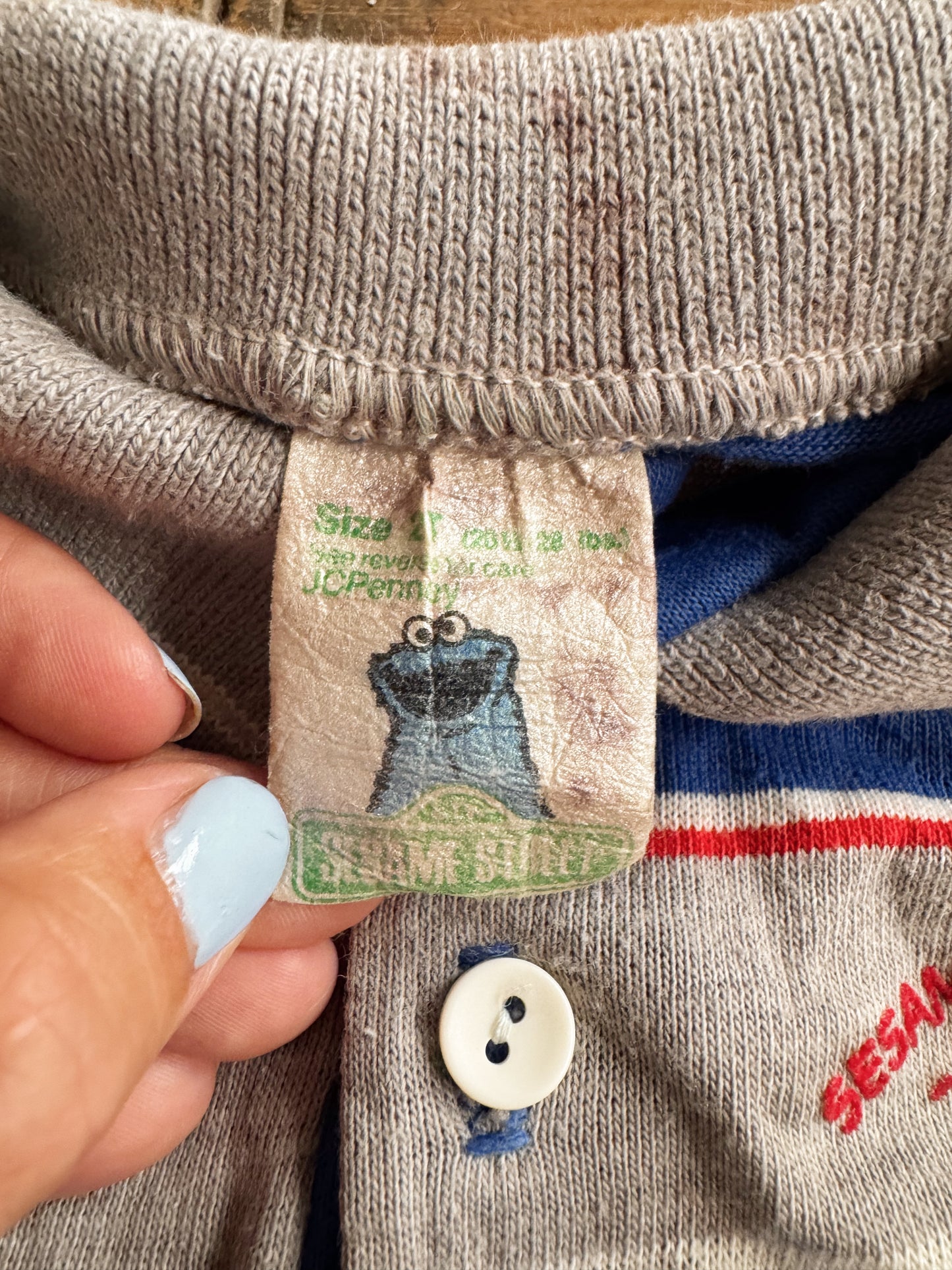 Sesame Street 70s Polo (2T)