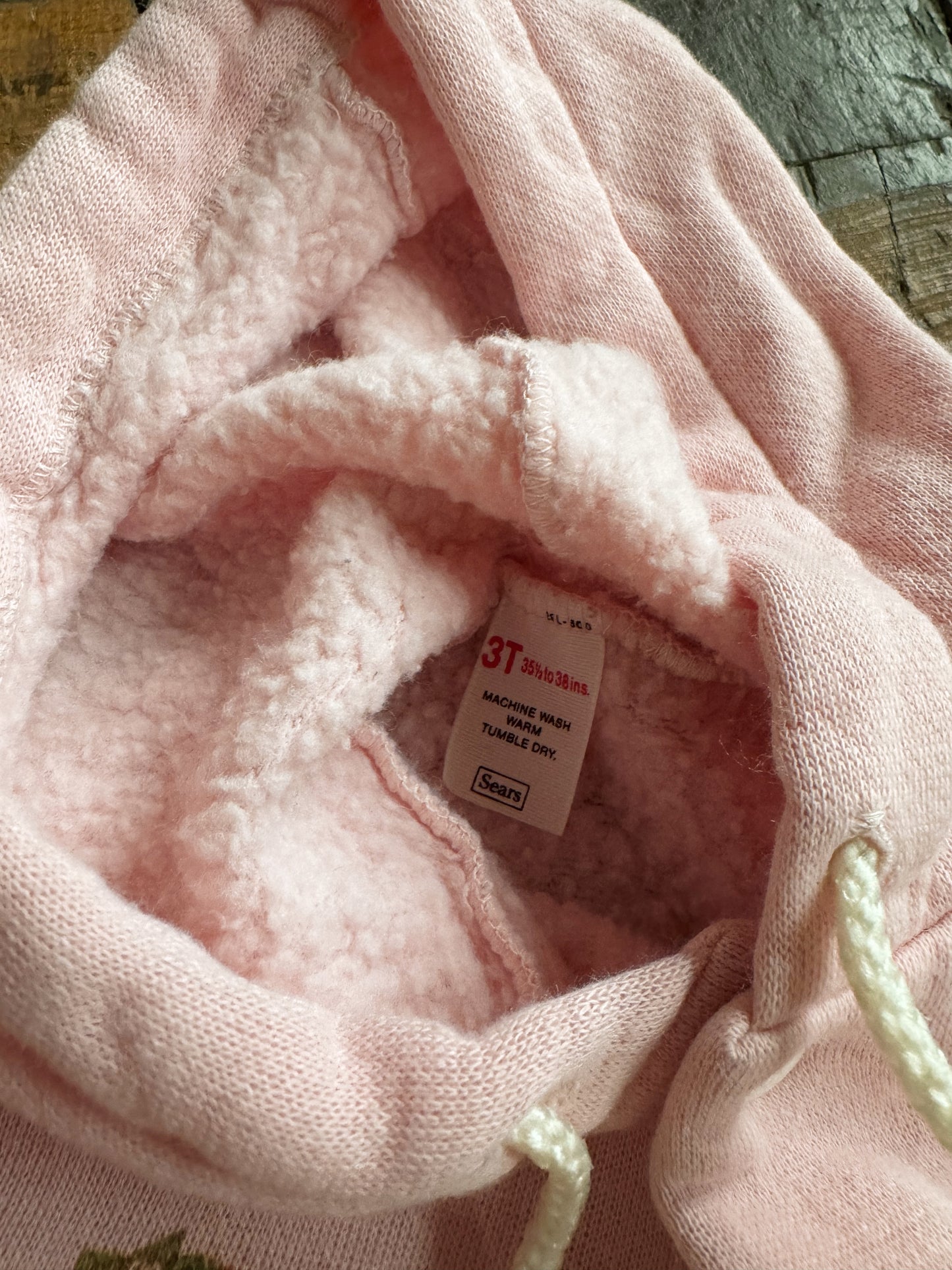 Strawberry Shortcake Hoodie Sweatshirt (2T)