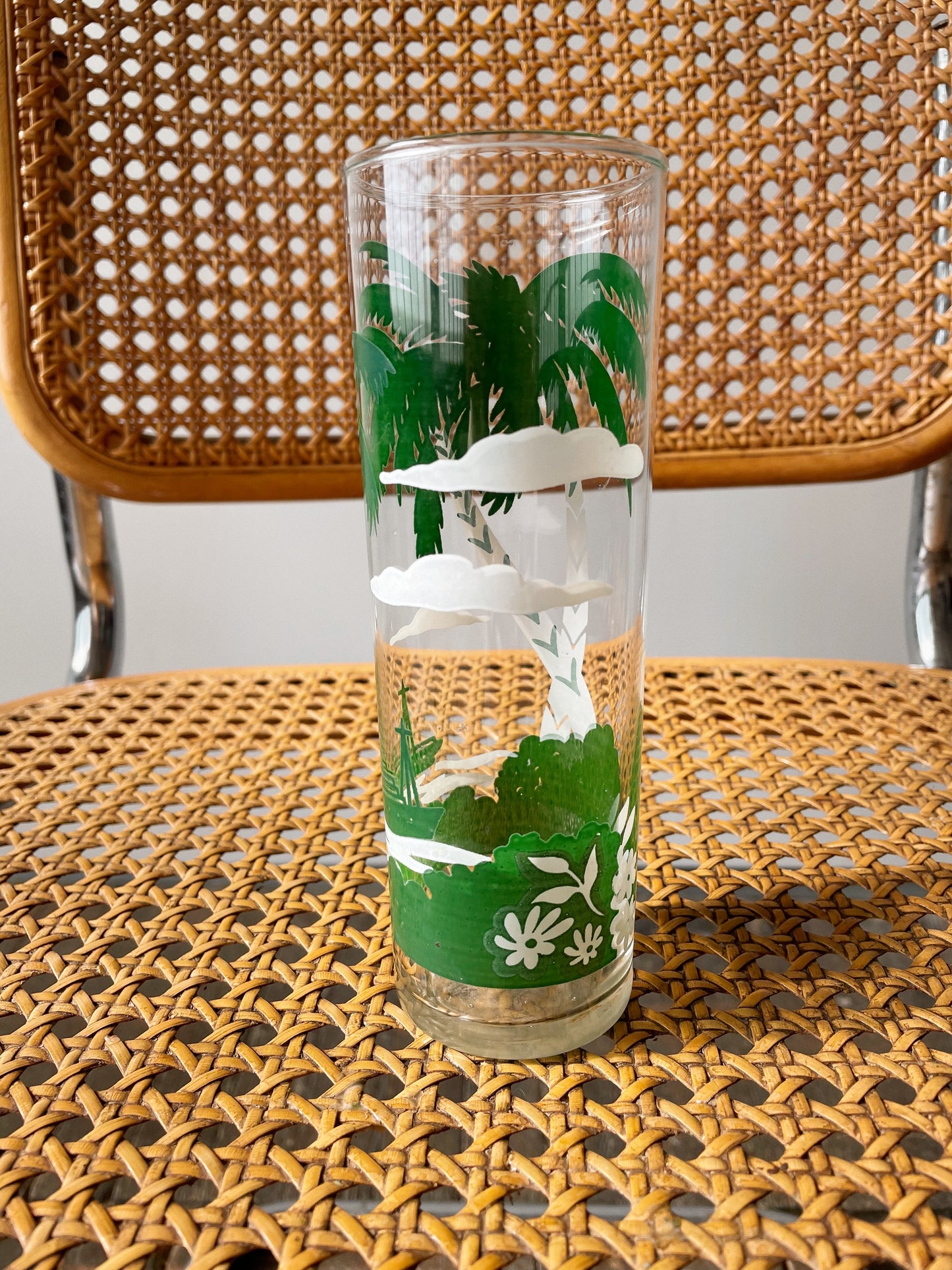 Palm Tall Tumblers, Set of 5