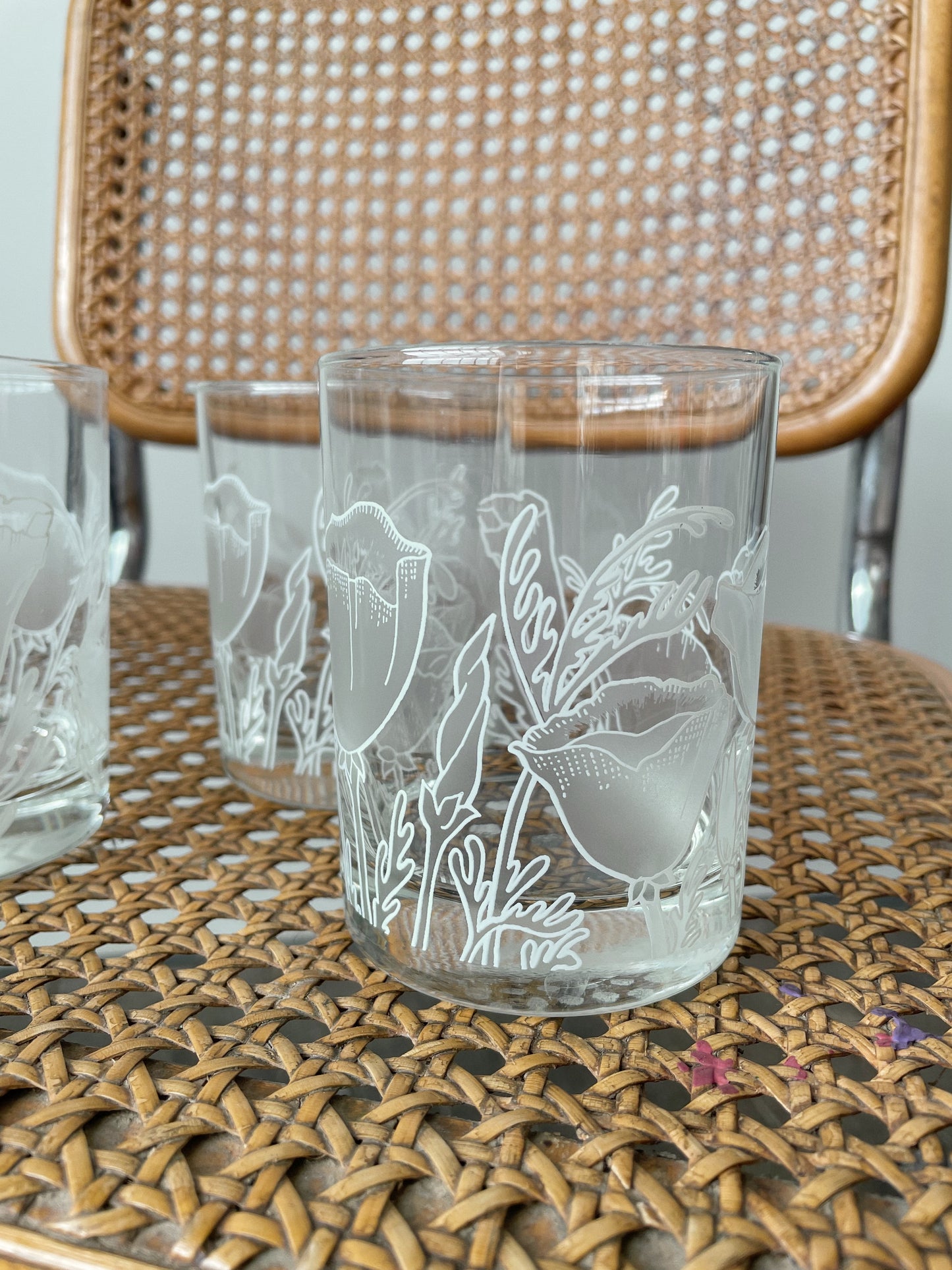 Poppy Line-Drawn Tumblers, Set of 4