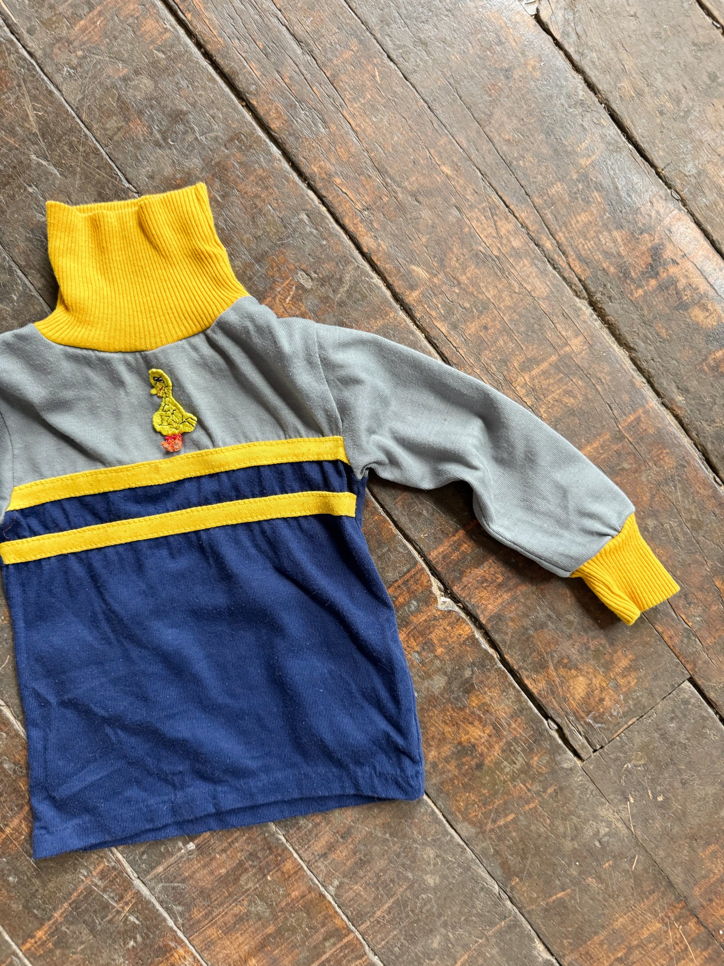 Big Bird Sesame Street 80s Turtleneck (2T)