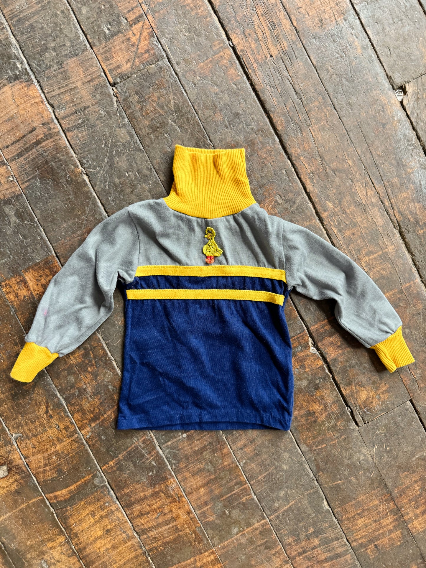 Big Bird Sesame Street 80s Turtleneck (2T)