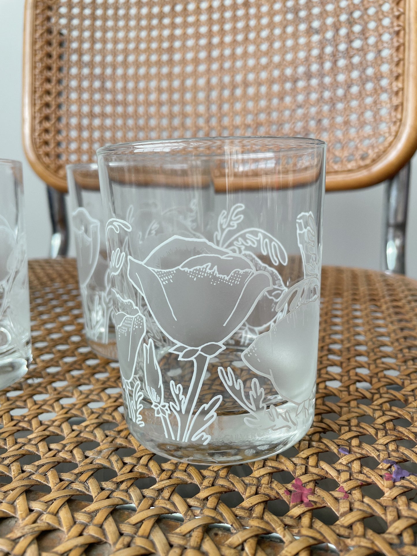 Poppy Line-Drawn Tumblers, Set of 4