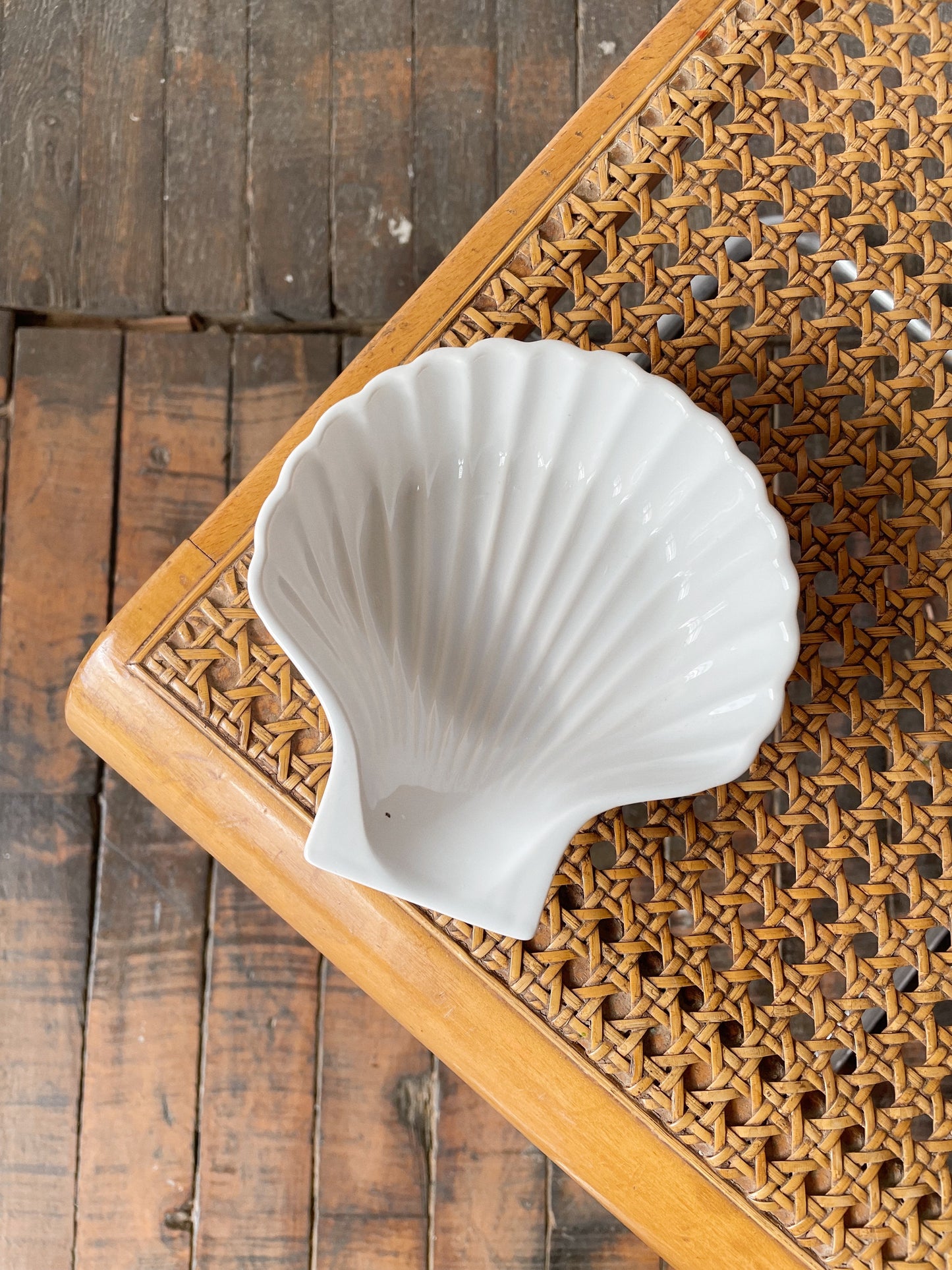 Ceramic Shell Dish