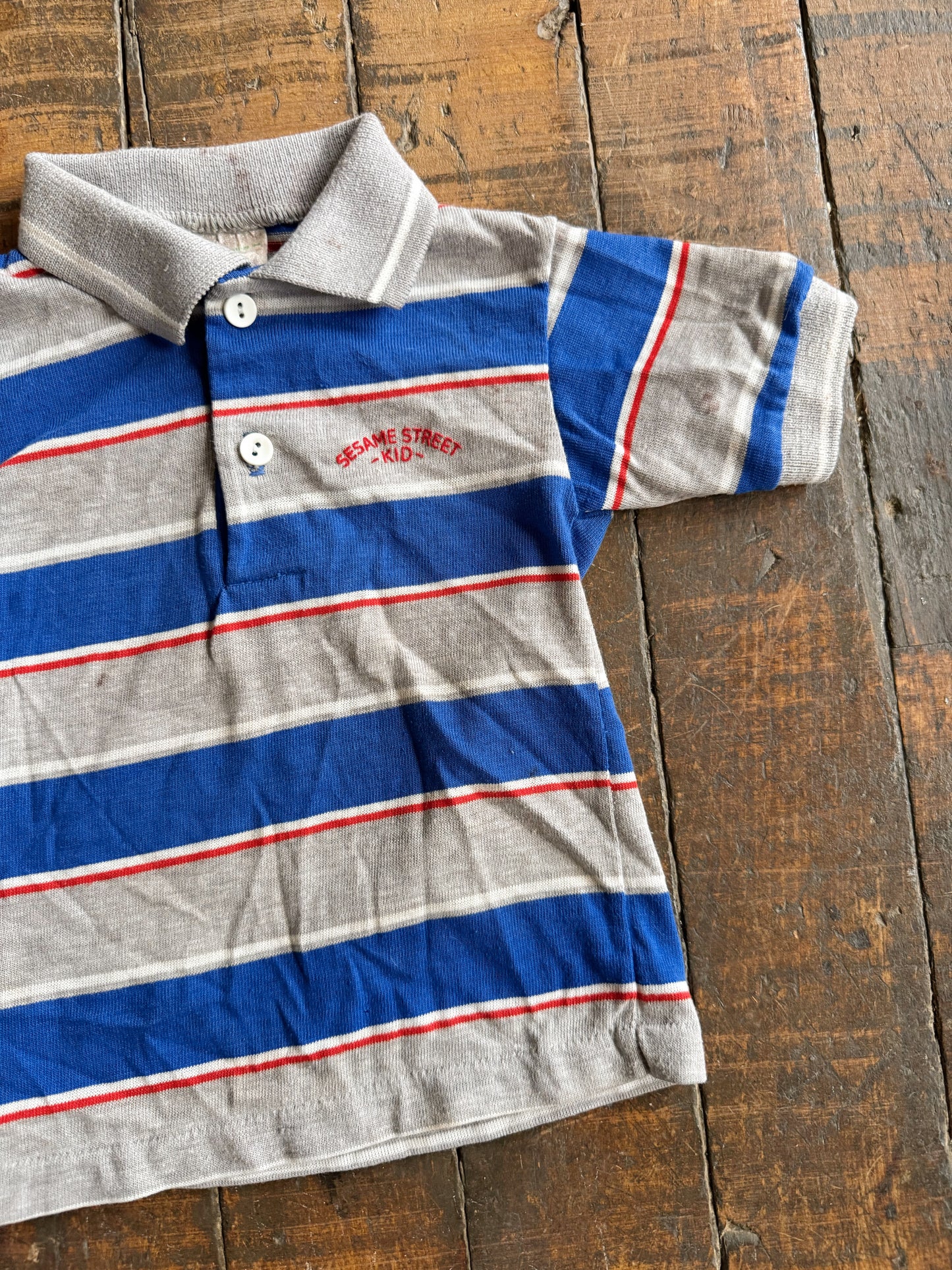 Sesame Street 70s Polo (2T)