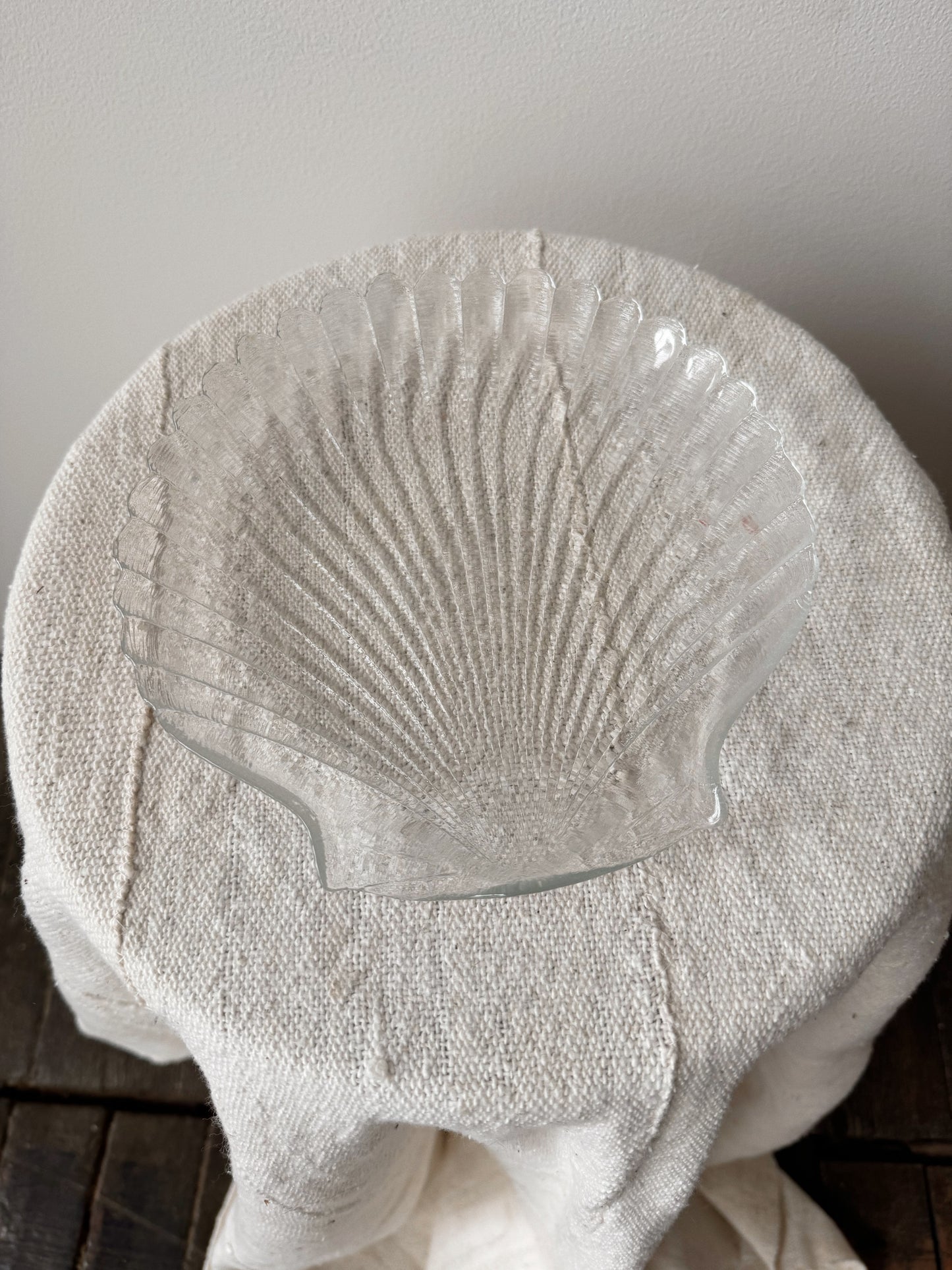 Seashell Glass Plate 8”