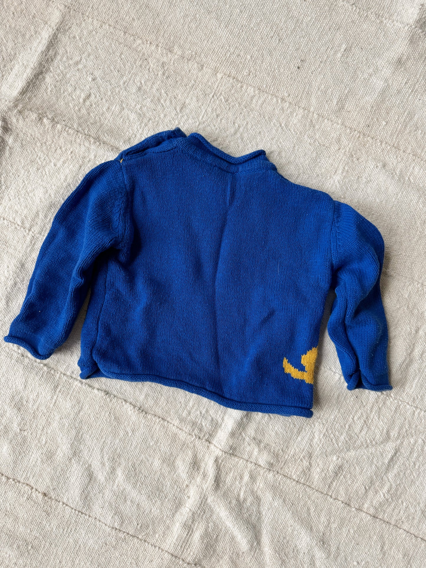 Blue Dog Curl Crewneck Sweater (12m)