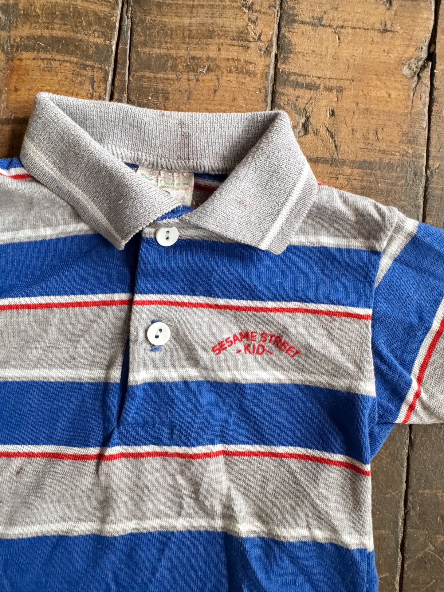 Sesame Street 70s Polo (2T)