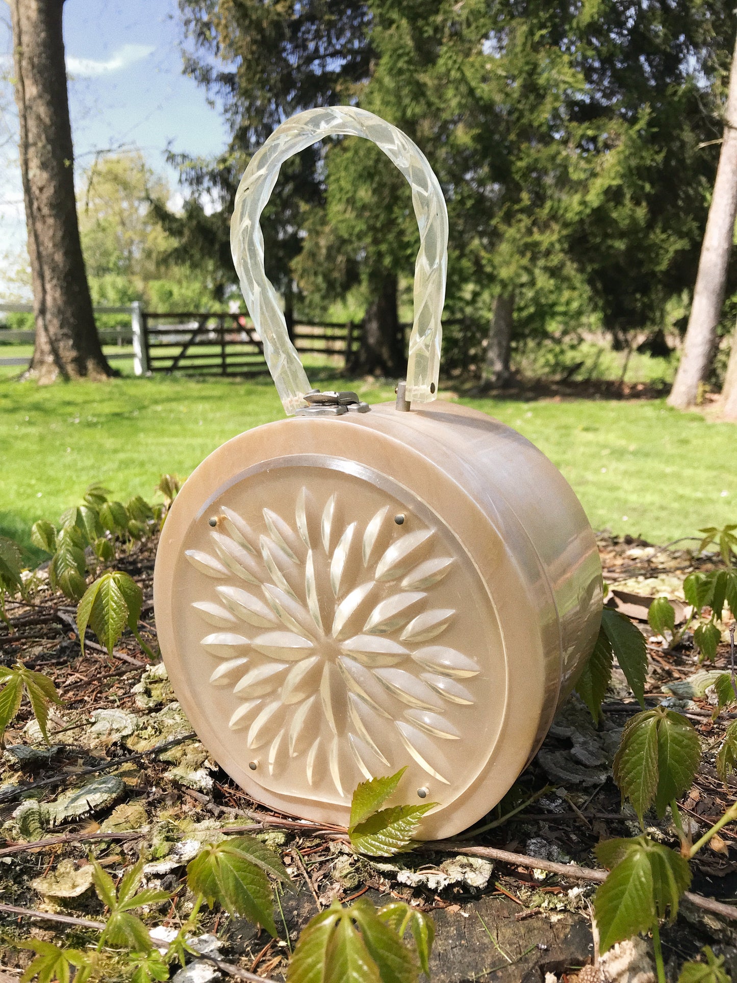 LIGHT PINK LUCITE BAG