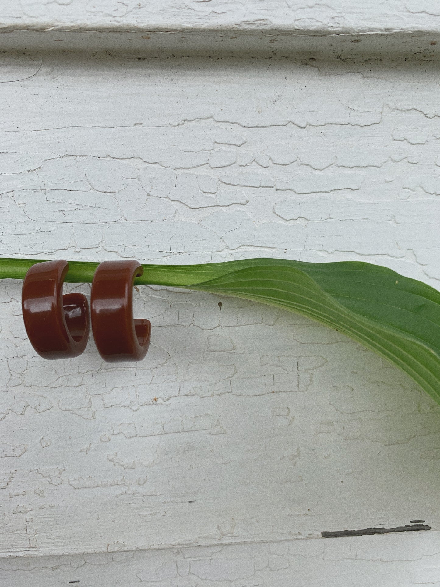 PECAN LUCITE EARRINGS